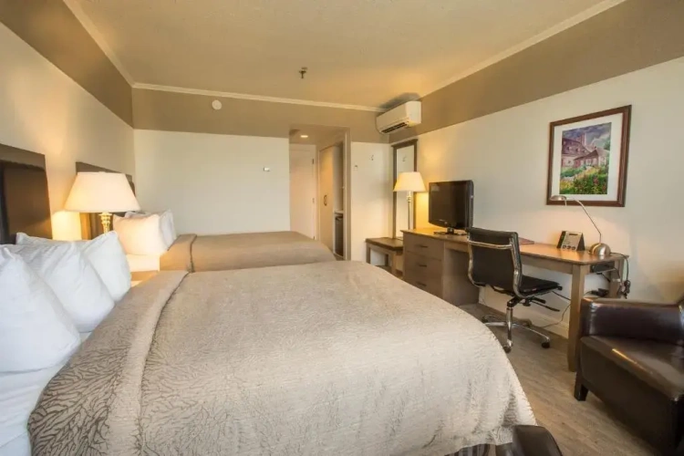 Standard Quadruple room with sea view