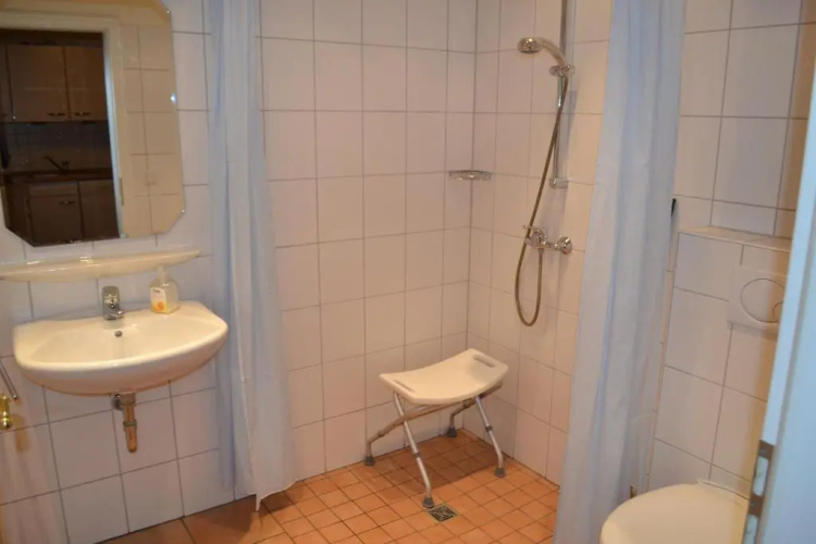 Silbermöwe