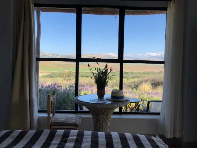 Bungalow with view