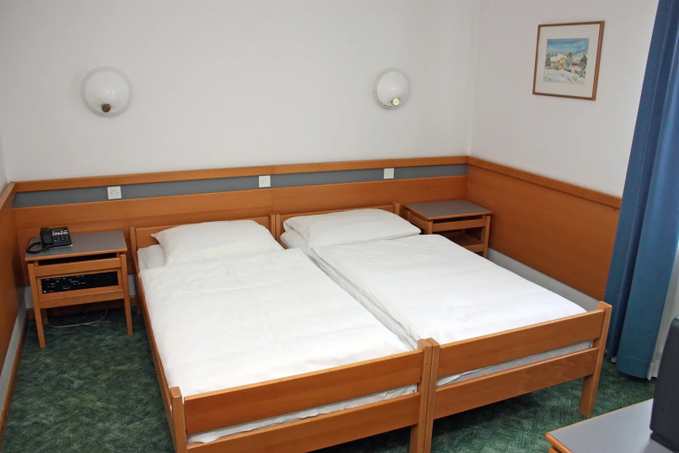 Alp Hotel