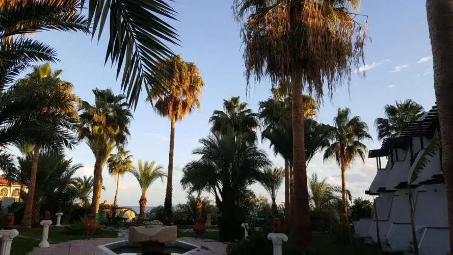 Фотография отеля