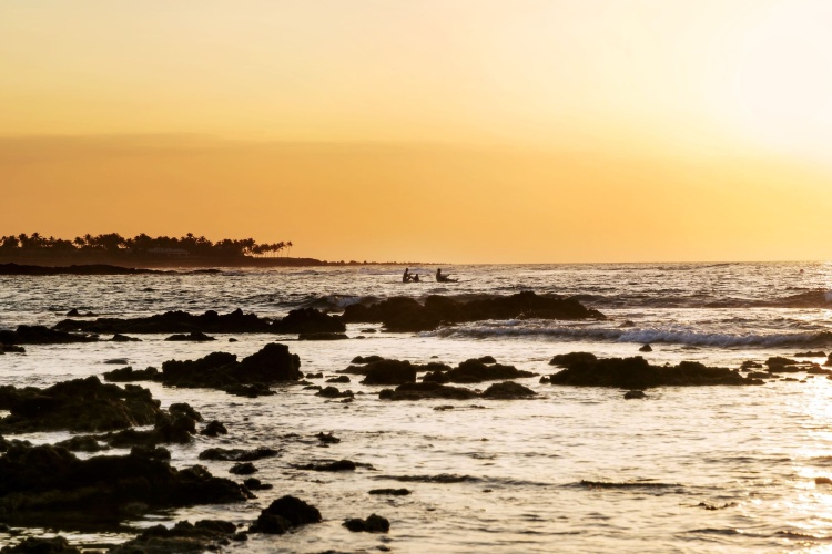 Fairmont Orchid photo 26