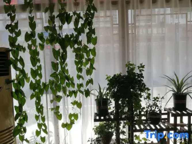 Xiangya Farmhouse Inn