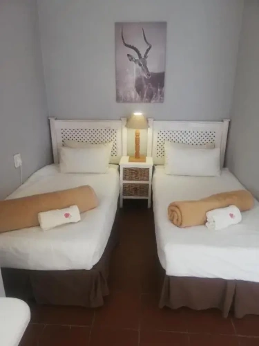 Standard Twin room with view
