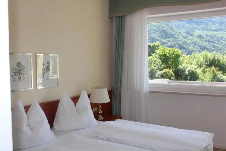 Standard Double room with balcony and with view