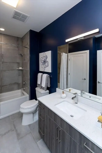 1 Bedroom Apartment