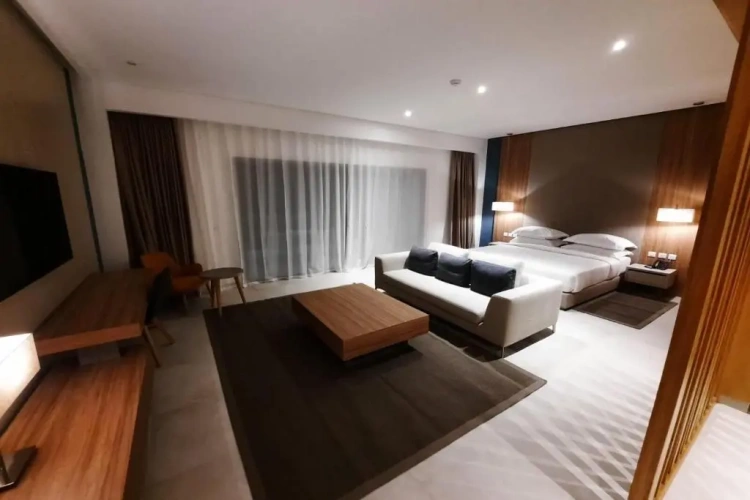 Deluxe Suite