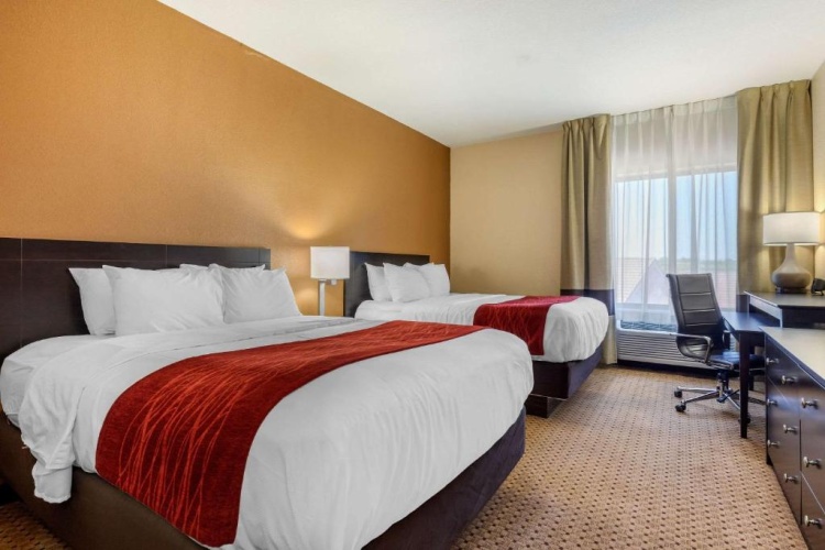 Standard Quadruple Suite