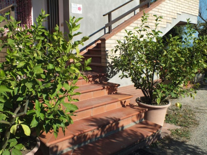 Outside