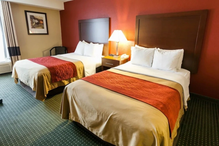 Standard Quadruple Suite
