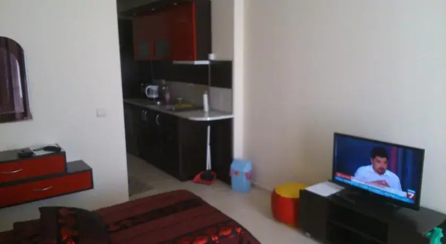 Iva Studio