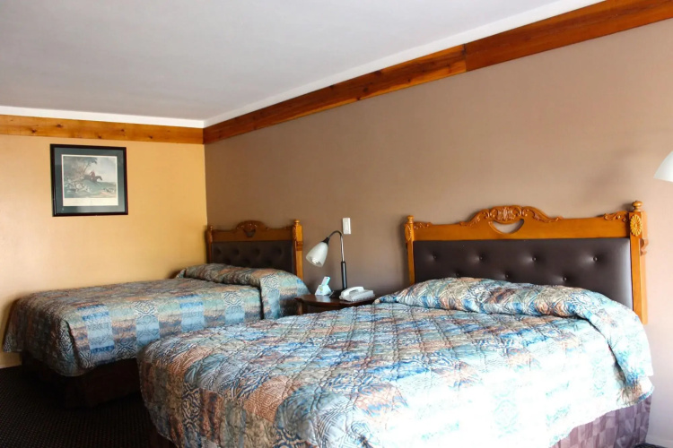 Executive Inn and Suites