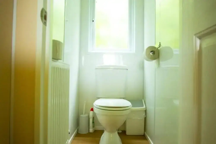 Apartment in Utrecht Near Historic Windmill