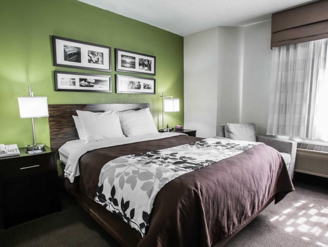 1 Bedroom Standard room