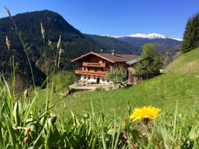 Riegergut - Inh 29569
