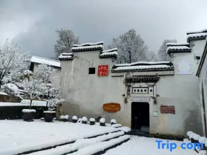 Hangzhou Linan Old Maple Tree Valley-view Hostel