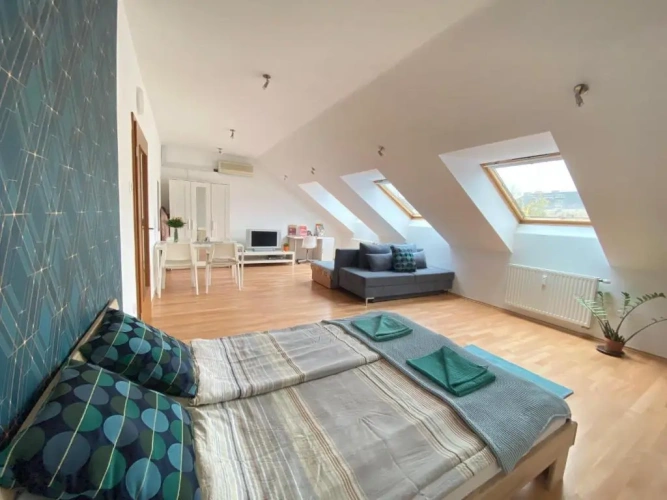 1 Bedroom Apartment