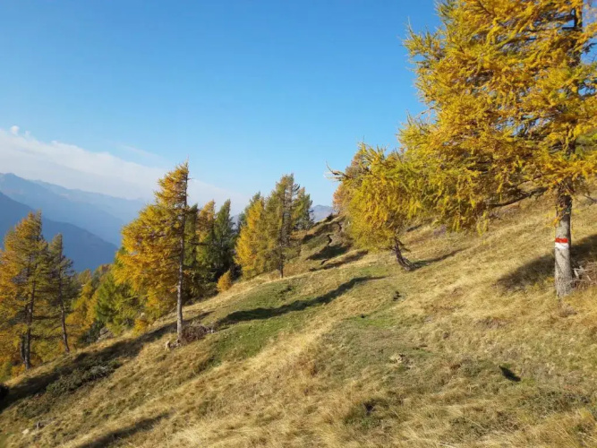 Almgasthof Himmelbauer