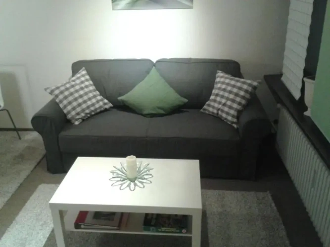 1 Bedroom Apartment with balcony and with view