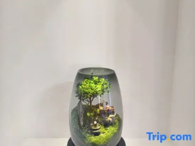 JingLanMeiSu