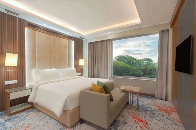 1 Bedroom Suite