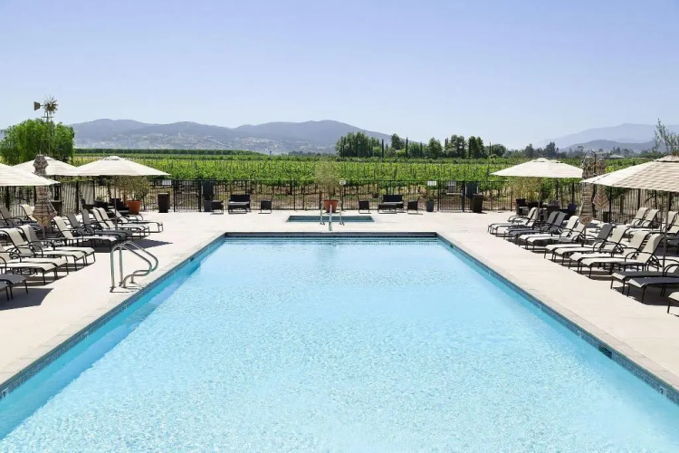 Ponte Vineyard Inn photo 16
