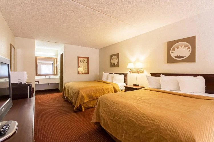 Quadruple Suite