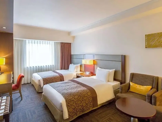 Superior Twin room with view