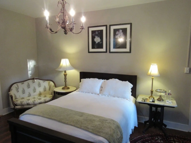 1 Bedroom Deluxe room with park view