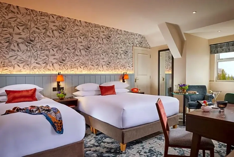 Classic Single room