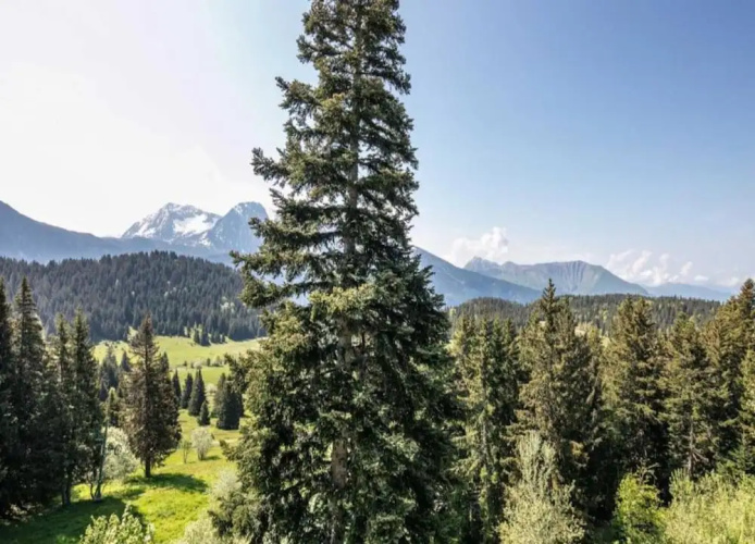 Mountain Apartment in Chamrousse