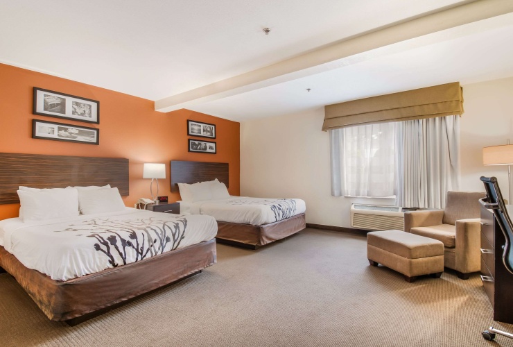 Standard Quadruple room