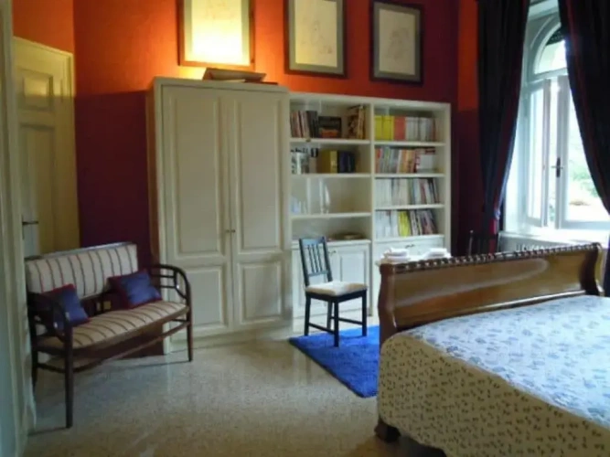 Standard Single room with park view