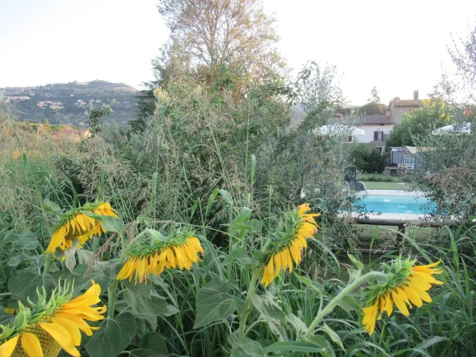 Podere Casorbica