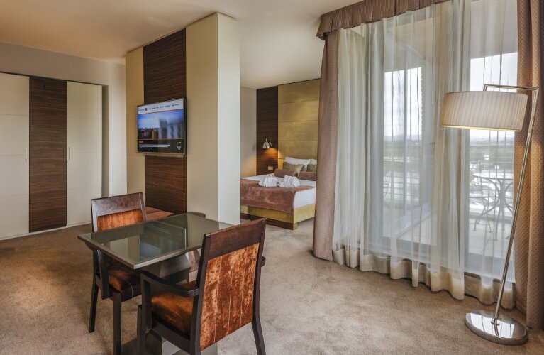 Absolute Hotel LimerickOver view