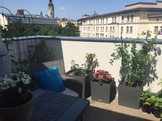 Deluxe Double Apartment