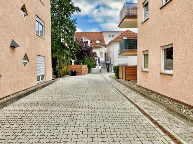 1 Bedroom Apartment
