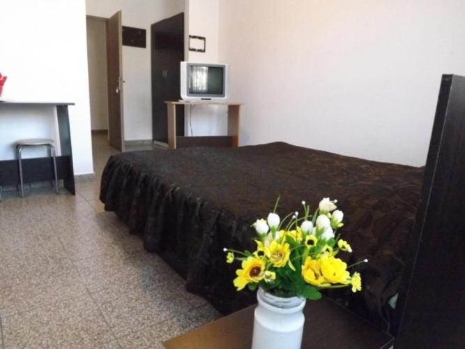 Standard Double room with garden view