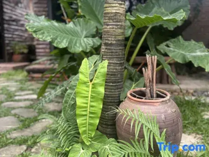 Wood Haven Homestay