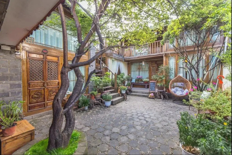Cloudy Cao Tang Hostel(丽江云里草堂客栈)