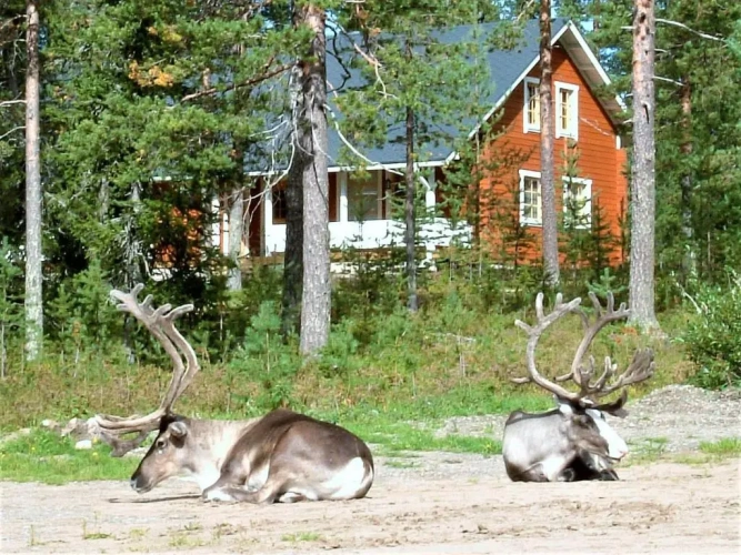 2 Bedrooms Double Chalet