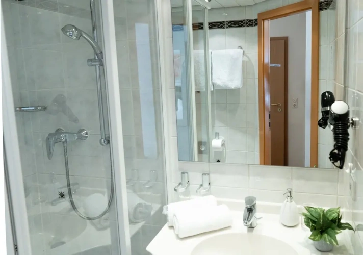 Economy Single room