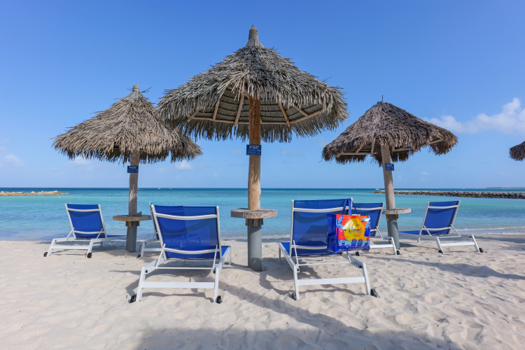 Divi Aruba Phoenix Beach Resort photo 27