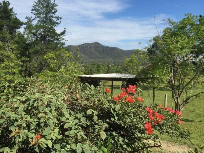 Hunterstay Holiday Accommodation