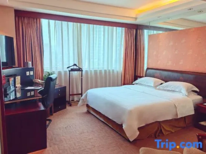 Business Double room with city view
