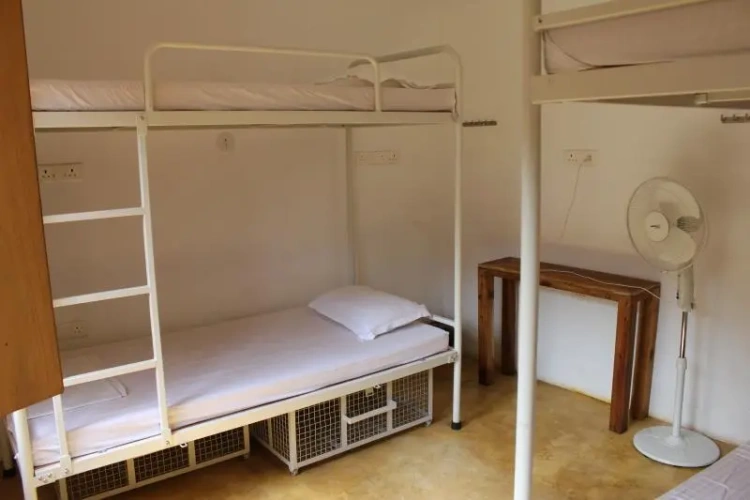 Bed in Dorm