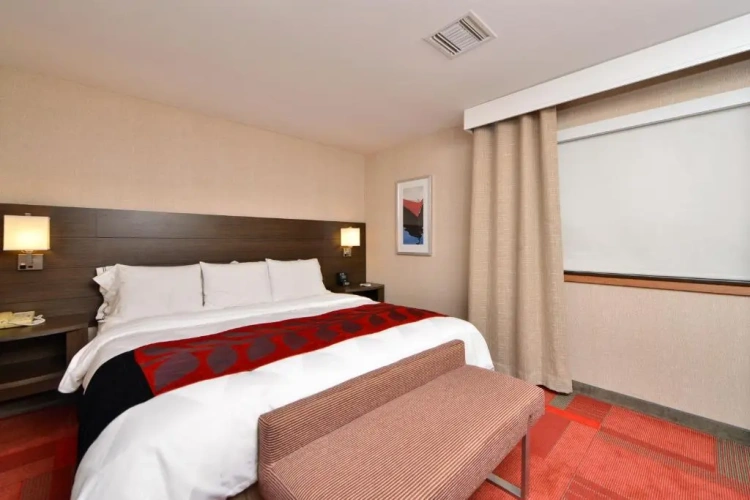 1 Bedroom Double Suite