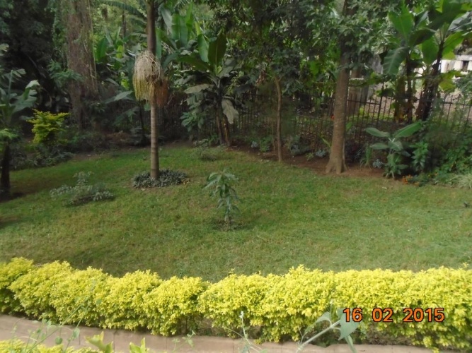 Deluxe Double room with garden view