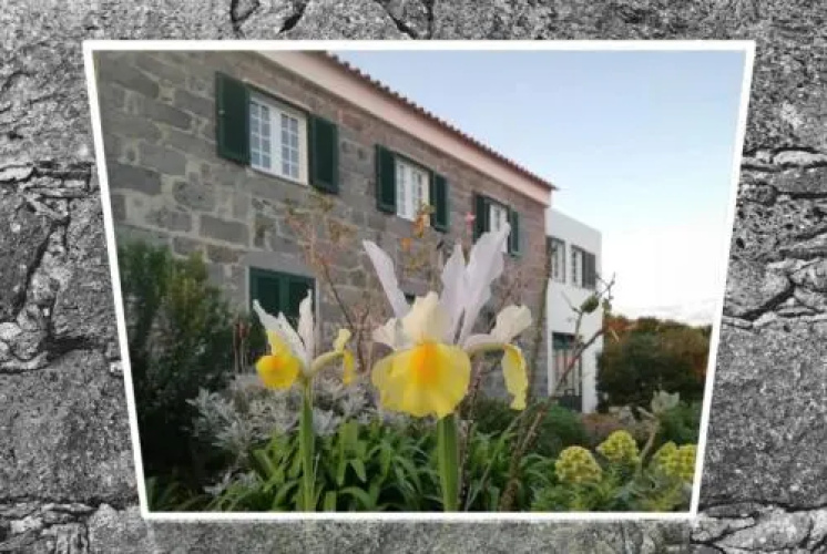 BELO CAMPO - Ilha do Faial (Horta)