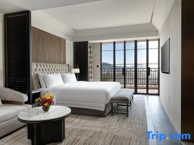 Double Club Suite with city view